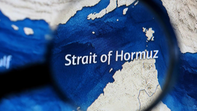 India needs to look at its national interests with regard to the Gulf of Hormuz