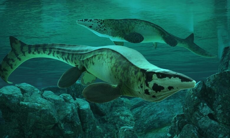 Fearsome dinosaur-era marine reptile was T. rex of the sea