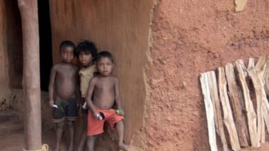 4.9 million children died globally before turning five in 2024, study estimates