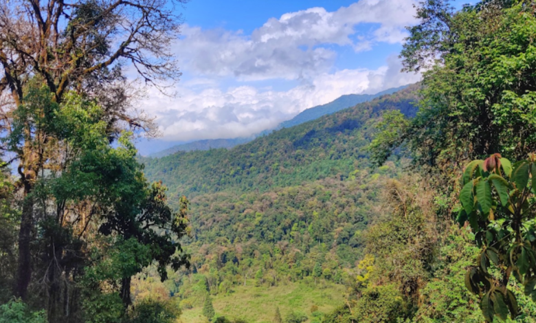 Decade-long IISc Study: Anthropogenic changes threaten eastern Himalayan birds