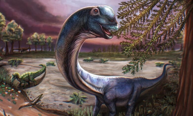 Scientists dig up Southeast Asia's largest dinosaur in Thailand