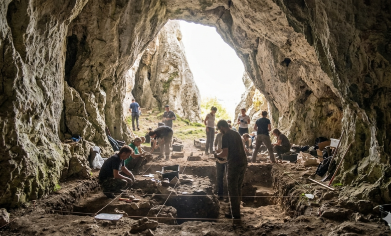 80,000-year-old DNA from Stajnia Cave reveals the oldest Neanderthal group in Central-Eastern Europe